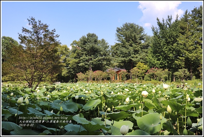 江原道春川市南怡島-2018-08-54.jpg