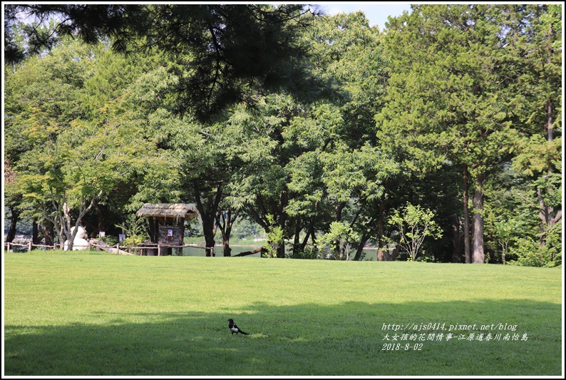 江原道春川市南怡島-2018-08-59.jpg