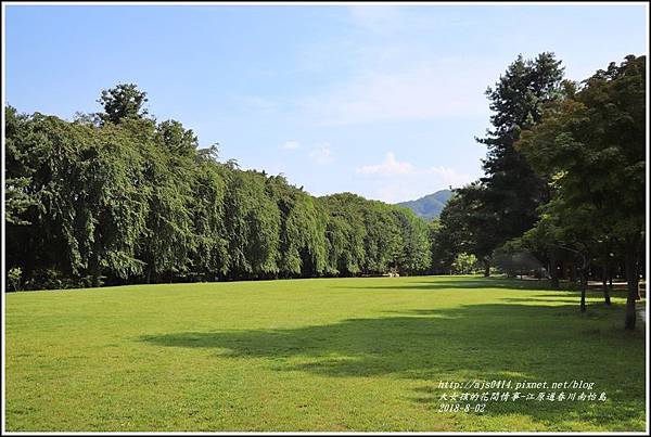 江原道春川市南怡島-2018-08-69.jpg