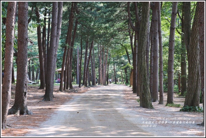 江原道春川市南怡島-2018-08-91.jpg