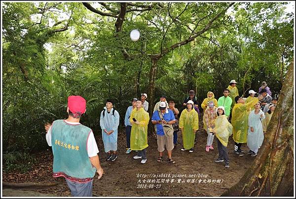 鸞山部落(會走路的樹)-2018-08-20.jpg