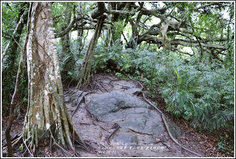 鸞山部落(會走路的樹)-2018-08-26.jpg