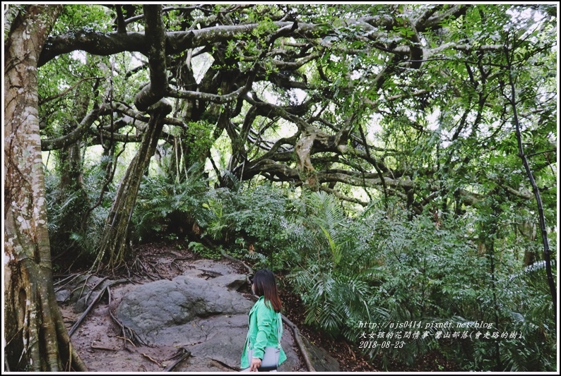 鸞山部落(會走路的樹)-2018-08-27.jpg