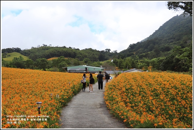 赤柯山金針花-2018-08-17.jpg