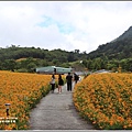 赤柯山金針花-2018-08-17.jpg