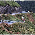 合歡山(虎仗花)-2018-08-17.jpg