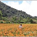 赤柯山金針花(汪家古厝)-2018-08-06.jpg