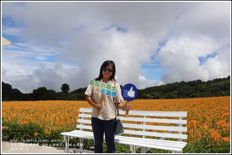 赤柯山金針花(小瑞士農場)-2018-08-30.jpg