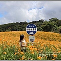 赤柯山金針花(小瑞士農場)-2018-08-34.jpg