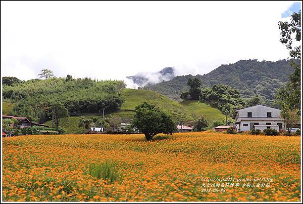 赤柯山金針花-2018-08-63.jpg