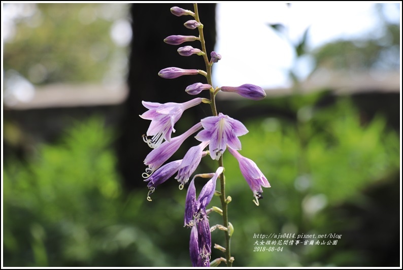 首爾南山公園-2018-08-39.jpg