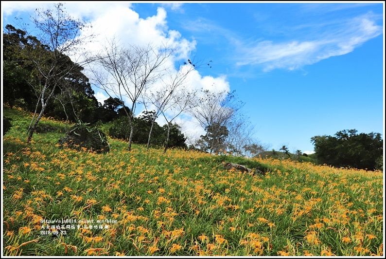 高寮竹林湖-2018-09-04.jpg