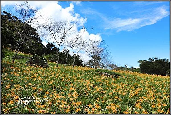 高寮竹林湖-2018-09-04.jpg