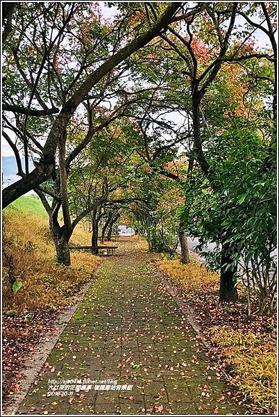 瑞穗車站台灣欒樹-2018-10-03 (2).jpg