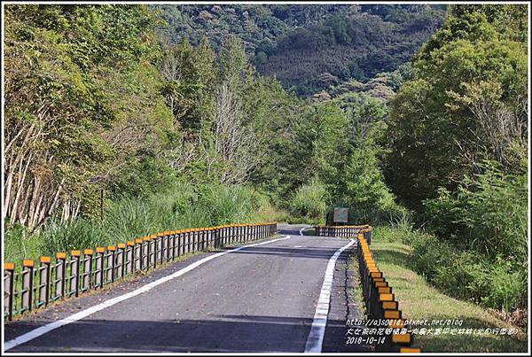 大農大富平地林林(北自行車道)-2018-10-11.jpg