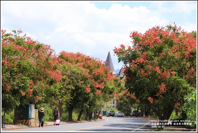 瑞穗溫泉路台灣欒樹-2018-10-02.jpg 瑞穗溫泉路台灣欒樹-2018-10-02.jpg