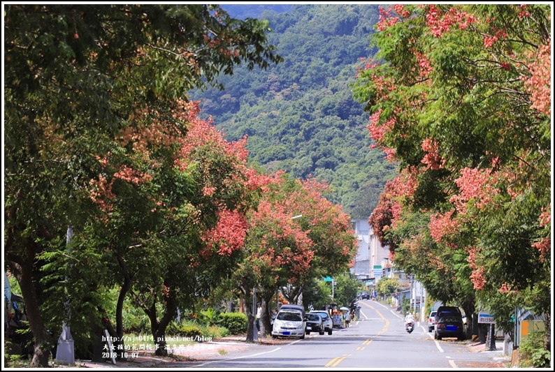 瑞穗溫泉路台灣欒樹-2018-10-04.jpg 瑞穗溫泉路台灣欒樹-2018-10-04.jpg