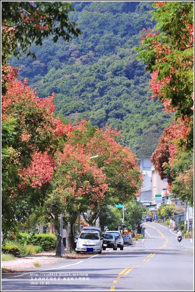 瑞穗溫泉路台灣欒樹-2018-10-08.jpg 瑞穗溫泉路台灣欒樹-2018-10-08.jpg