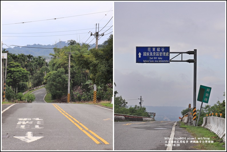 興鶴橋旁台灣欒樹-2018-10-08.jpg 興鶴橋旁台灣欒樹-2018-10-08.jpg