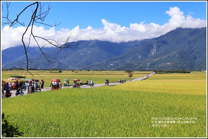 池上伯朗大道-2018-11-13.jpg