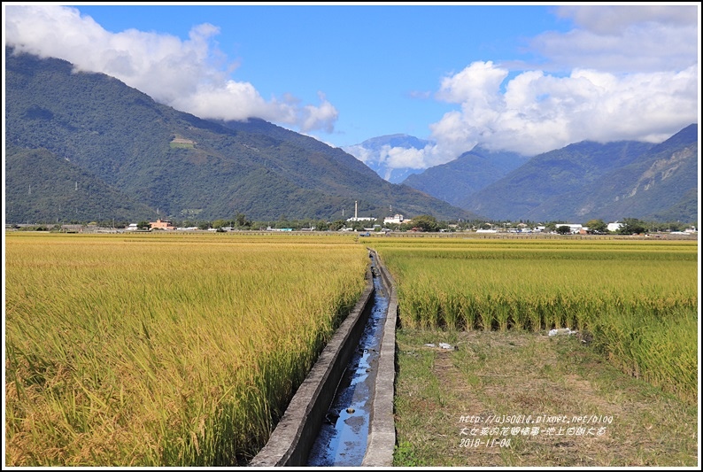 池上伯朗大道-2018-11-22.jpg