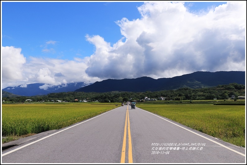 池上伯朗大道-2018-11-27.jpg