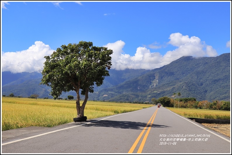 池上伯朗大道-2018-11-42.jpg