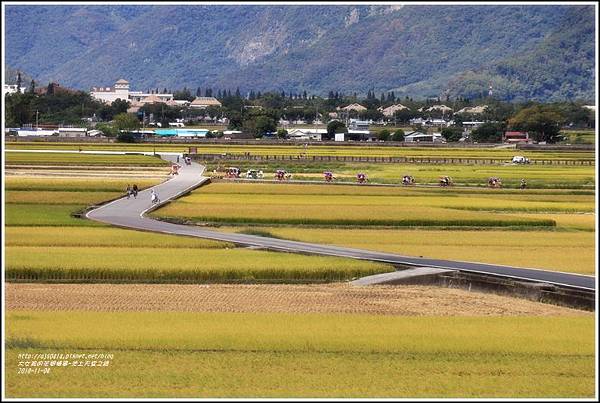 池上天堂之路-2018-11-09.jpg