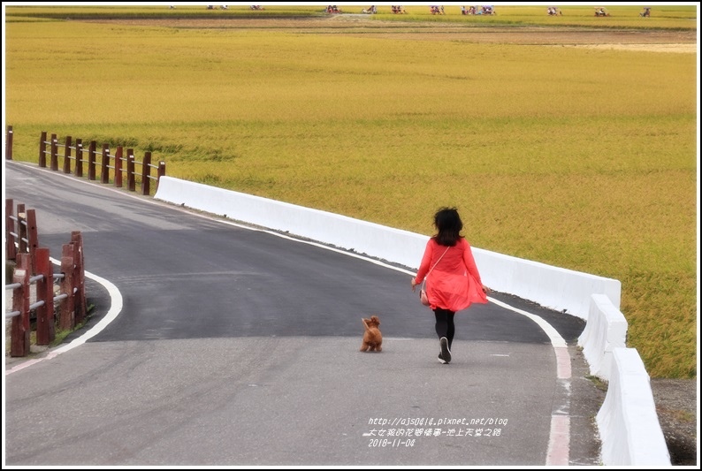 池上天堂之路-2018-11-12.jpg