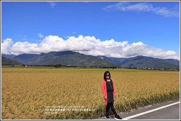 池上伯朗大道(黃金稻田)-2018-11-02.jpg