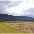 池上伯朗大道(黃金稻田)-2018-11-27.jpg