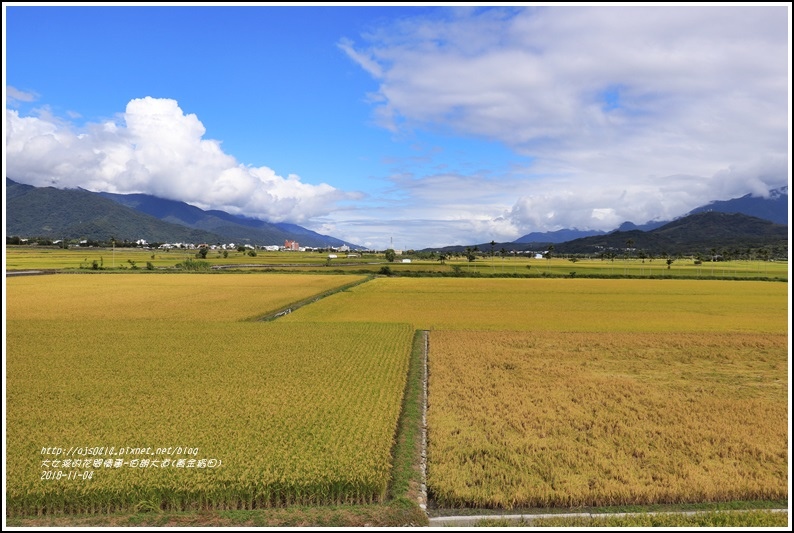 池上伯朗大道(黃金稻田)-2018-11-52.jpg