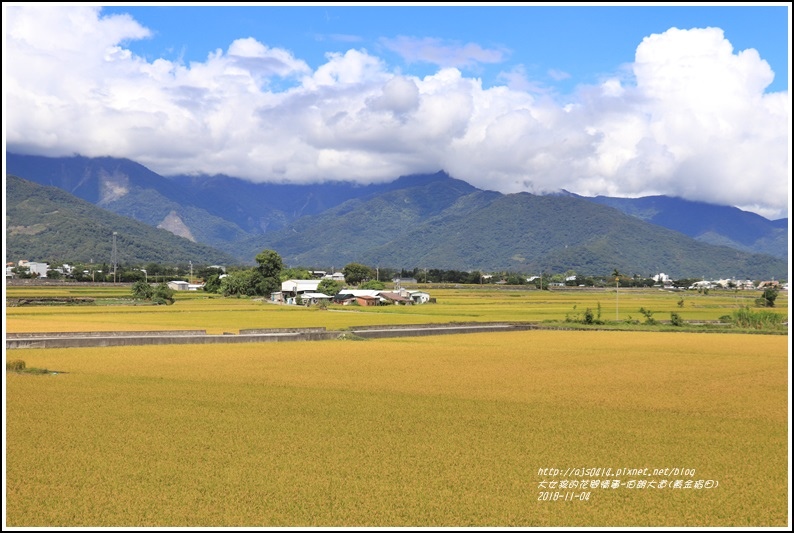 池上伯朗大道(黃金稻田)-2018-11-53.jpg