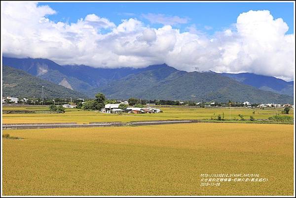 池上伯朗大道(黃金稻田)-2018-11-53.jpg