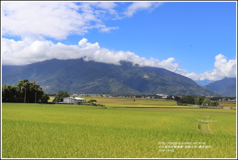 池上伯朗大道(黃金稻田)-2018-11-63.jpg