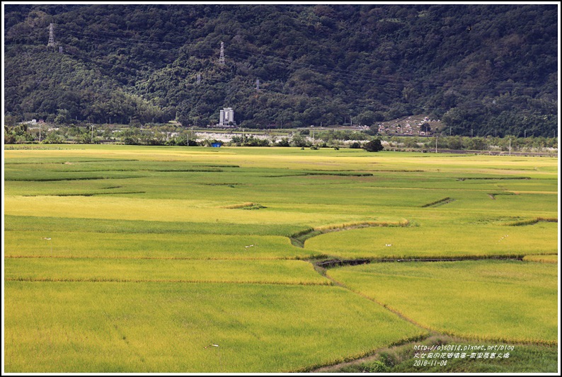 富里長富大橋-2018-11-05.jpg