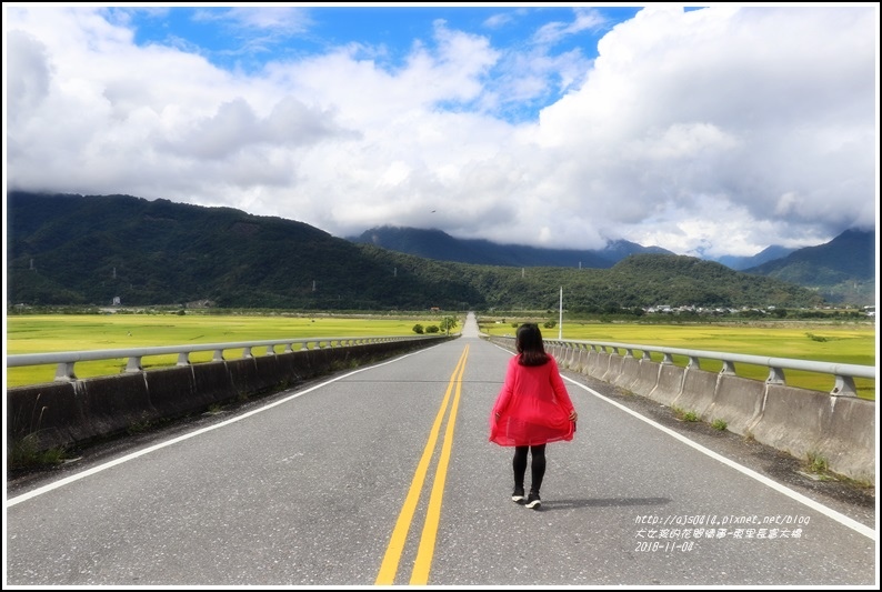 富里長富大橋-2018-11-11.jpg