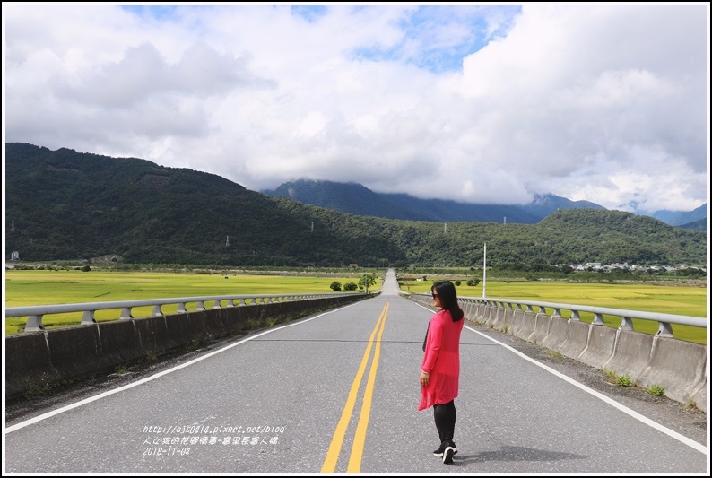 富里長富大橋-2018-11-12.jpg