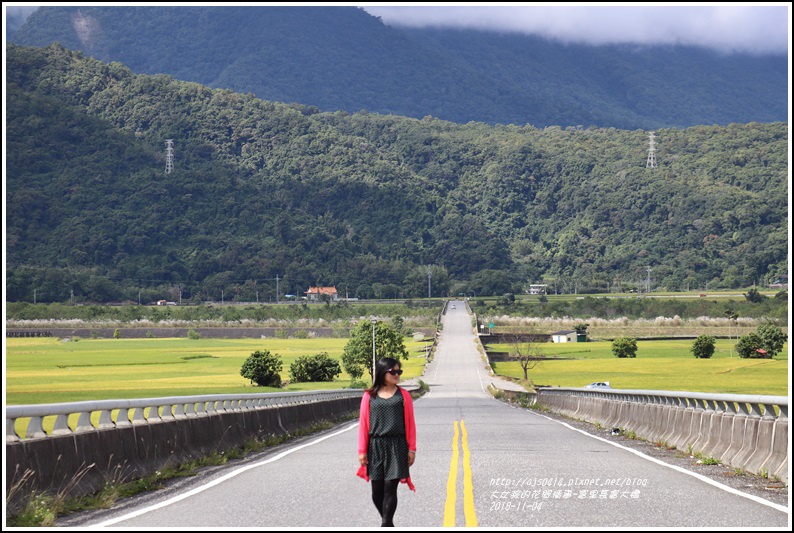 富里長富大橋-2018-11-14.jpg