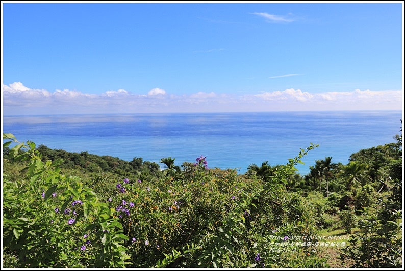 長濱星龍花園-2018-11-04.jpg 長濱星龍花園-2018-11-04.jpg
