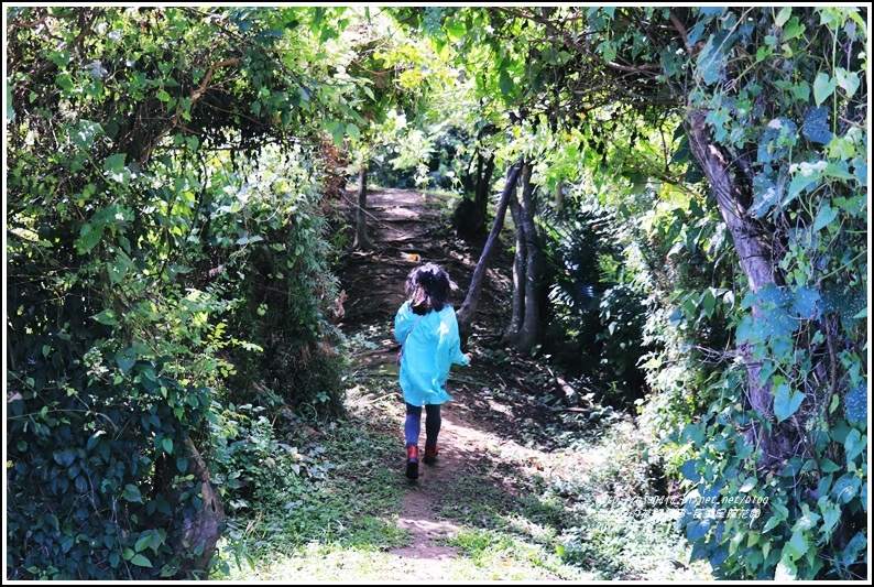 長濱星龍花園-2018-11-12.jpg 長濱星龍花園-2018-11-12.jpg
