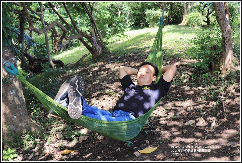 長濱星龍花園-2018-11-19.jpg 長濱星龍花園-2018-11-19.jpg