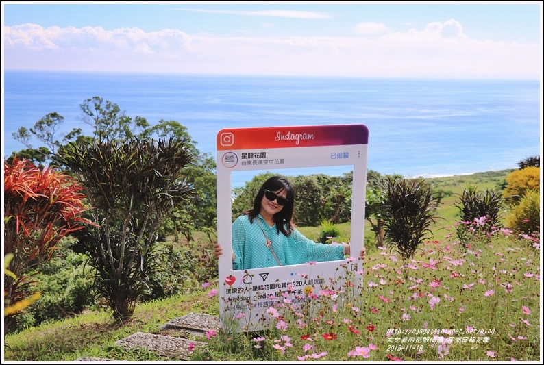 長濱星龍花園-2018-11-35.jpg 長濱星龍花園-2018-11-35.jpg