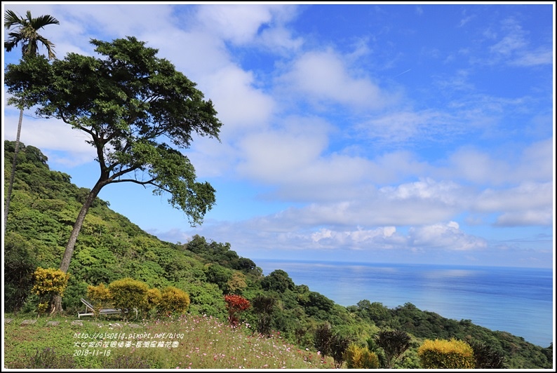長濱星龍花園-2018-11-42.jpg 長濱星龍花園-2018-11-42.jpg