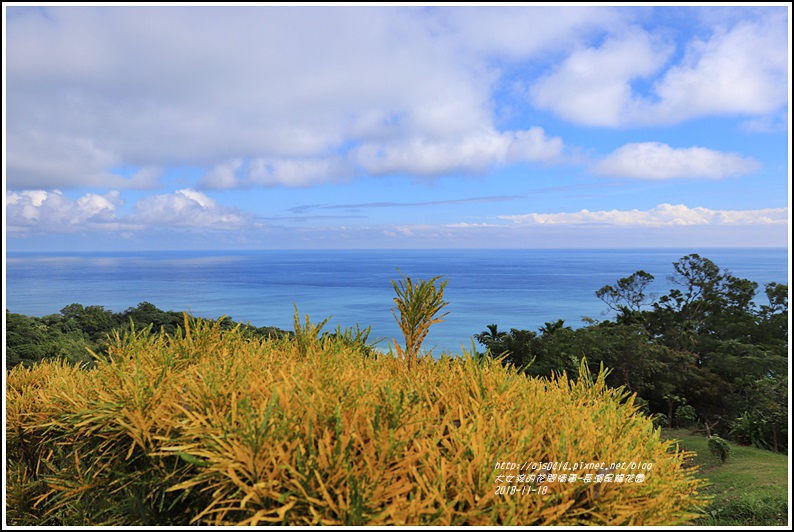 長濱星龍花園-2018-11-54.jpg 長濱星龍花園-2018-11-54.jpg