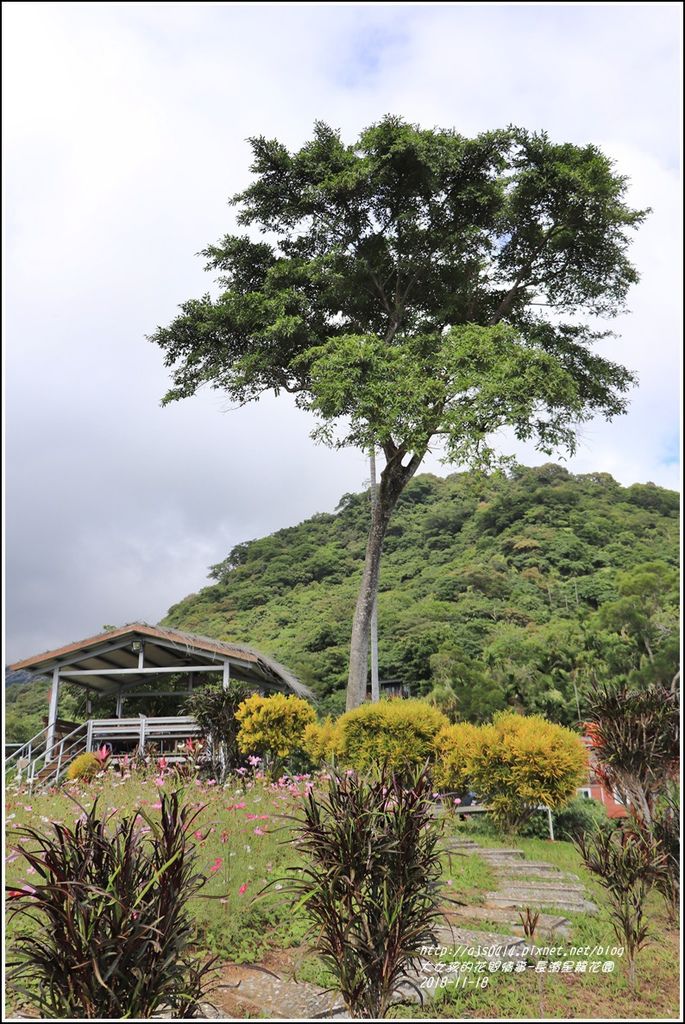 長濱星龍花園-2018-11-56.jpg 長濱星龍花園-2018-11-56.jpg