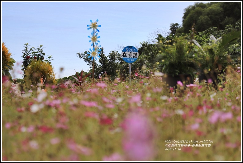 長濱星龍花園-2018-11-57.jpg 長濱星龍花園-2018-11-57.jpg
