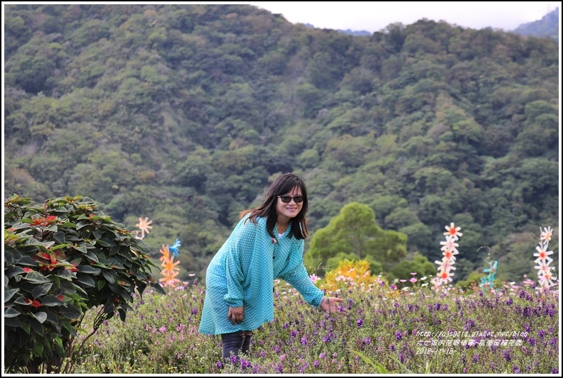 長濱星龍花園-2018-11-65.jpg 長濱星龍花園-2018-11-65.jpg