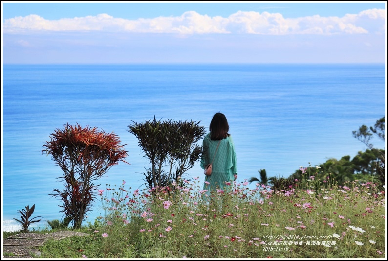 長濱星龍花園-2018-11-69.jpg 長濱星龍花園-2018-11-69.jpg