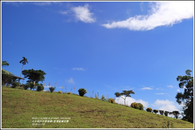 長濱星龍花園-2018-11-74.jpg 長濱星龍花園-2018-11-74.jpg